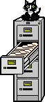 cat on file cabinet